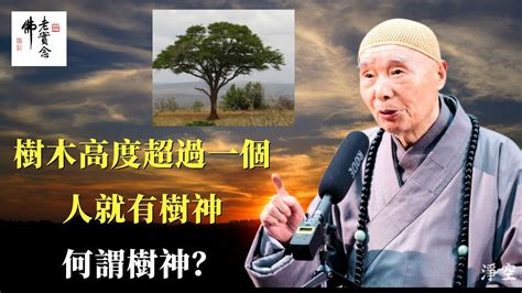 砍樹儀式|砍樹前要請樹神搬家